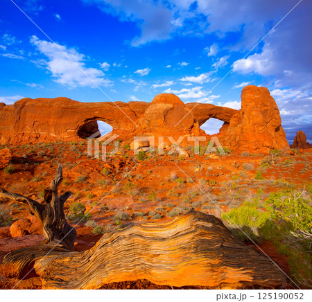 Arches National Park in Moab Utah USA 125190052