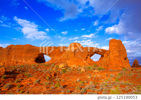Arches National Park in Moab Utah USA Arches National Park in Moab Utah USA 125190053
