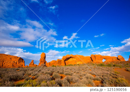 Arches National Park in Moab Utah USA 125190056