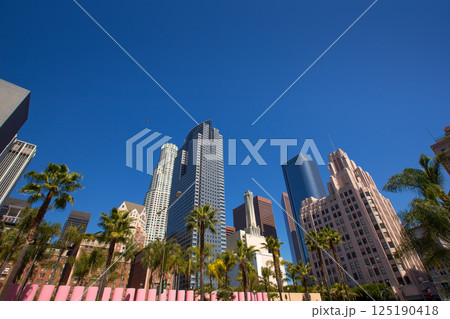 LA Downtown Los Angeles Pershing Square palm tress LA Downtown Los Angeles Pershing Square palm tress 125190418