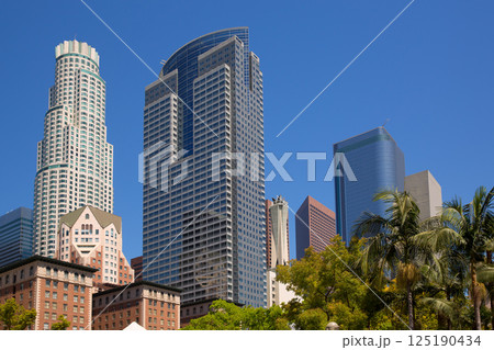 LA Downtown Los Angeles Pershing Square palm tress LA Downtown Los Angeles Pershing Square palm tress 125190434