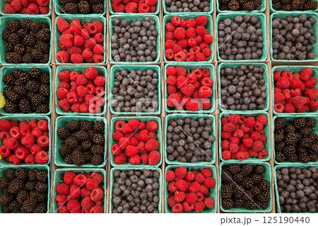 Berries raspberries blueberries and blackberries in a row 125190440