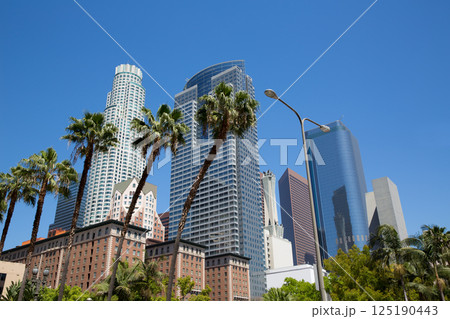LA Downtown Los Angeles Pershing Square palm tress 125190443