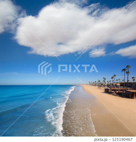 Newport beach in California with palm trees Newport beach in California with palm trees 125190467