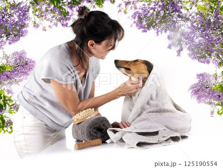 Shetland Sheepdog and woman in studio Shetland Sheepdog and woman in studio 125190554