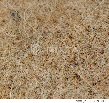 Close up shot of the jute mat surface used for growing micro greens 125191016