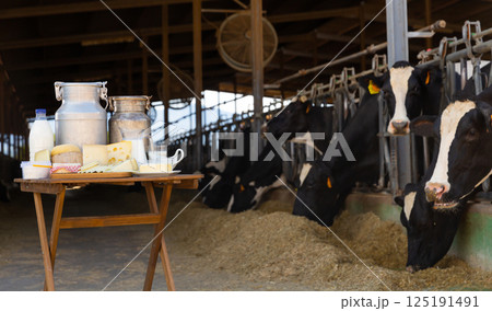 Dairy products on table standing in outdoor cowshed Dairy products on table standing in outdoor cowshed 125191491