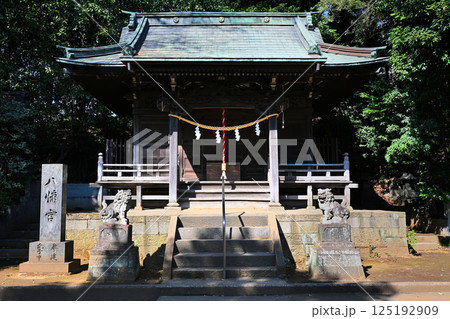 岡本八幡神社　東京都世田谷区岡本 125192909