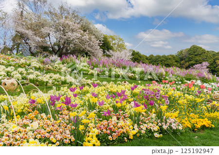 様々な花が咲き乱れる春の大花壇（神奈川県横浜市） 125192947
