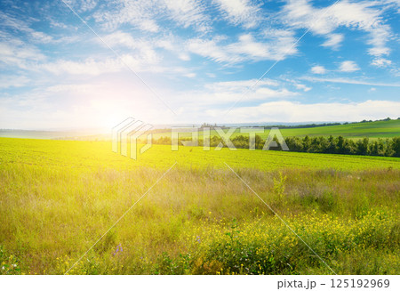 Sunrise over beautiful summer field with colorful flowers in the foreground and blue sky with clouds. 125192969