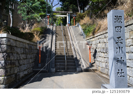 瀬田玉川神社 東京都世田谷区瀬田 瀬田玉川神社 東京都世田谷区瀬田 125193079