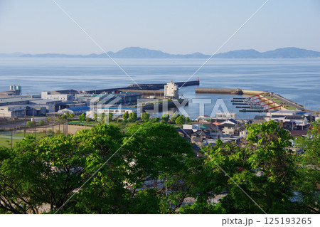 愛媛県四国中央市 城山公園から川之江港・荘内半島方面を望む 愛媛県四国中央市 城山公園から川之江港・荘内半島方面を望む 125193265