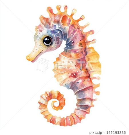 タツノオトシゴの可愛い水彩イラスト 125193286