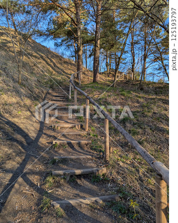 There is a lovely set of wooden stairs leading up a hill in the woods There is a lovely set of wooden stairs leading up a hill in the woods 125193797