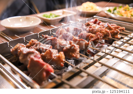 Chinese food. Grilled lamb skewers. Chinese food. Grilled lamb skewers. 125194111