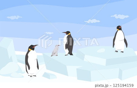 Four penguins stand on ice floes in a snowy landscape. The sun shines brightly, casting shadows. One smaller penguin is nestled among the larger ones, creating a charming family scene 125194159