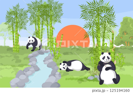 Panda bears are seen relaxing and playing in a lush bamboo forest during the evening. A picturesque sunset adds a warm glow to the serene landscape, enhancing the natural beauty 125194160
