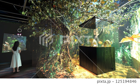 A woman is looking at a tree in a museum 125194846