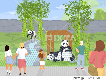 Visitors gather by a fence to observe playful pandas in a green bamboo habitat at the zoo. The atmosphere is lively as families point and engage with the adorable animals 125195033