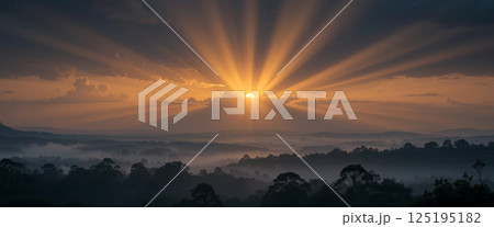 Golden Sunset Over a Misty Forest 125195182