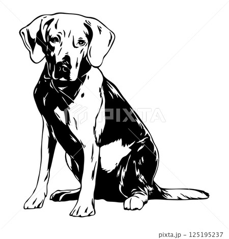 Dachshund Dog Breed - Pet Vector Cut file, Dog Silhouette Stencil - Cricut file Dachshund Dog Breed - Pet Vector Cut file, Dog Silhouette Stencil - Cricut file 125195237