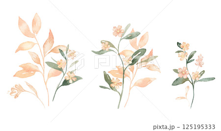 Watercolor set of pink flowers spots and leaves. Hand drawn illustration buds on isolated white background. Soft pastel iridescent watercolors. Watercolor set of pink flowers spots and leaves. Hand drawn illustration buds on isolated white background. Soft pastel iridescent watercolors. 125195333