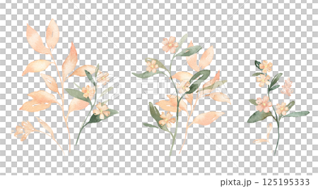 Watercolor set of pink flowers spots and leaves. Hand drawn illustration buds on isolated white background. Soft pastel iridescent watercolors. Watercolor set of pink flowers spots and leaves. Hand drawn illustration buds on isolated white background. Soft pastel iridescent watercolors. 125195333