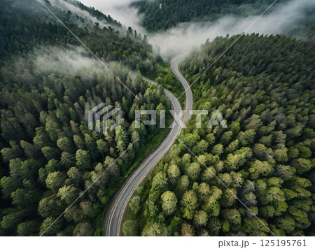 Scenic Aerial View of a Winding Mountain Road Through a Dense Forest 125195761