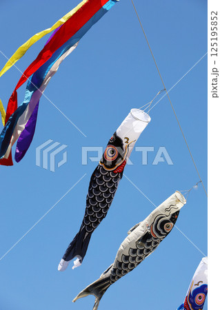 青く澄み渡る空と風にそよぐ鯉のぼり 青く澄み渡る空と風にそよぐ鯉のぼり 125195852