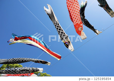 青く澄み渡る空と風にそよぐ鯉のぼり 青く澄み渡る空と風にそよぐ鯉のぼり 125195854