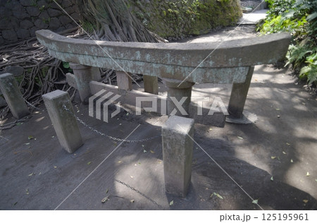 桜島大噴火による火山灰で埋没した鳥居 桜島大噴火による火山灰で埋没した鳥居 125195961