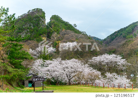 道遊の割戸 125196517