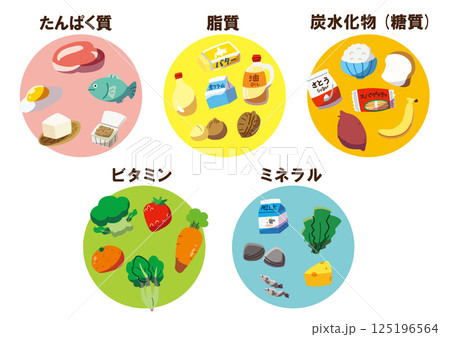 五大栄養素セット 線なし 五大栄養素セット 線なし 125196564