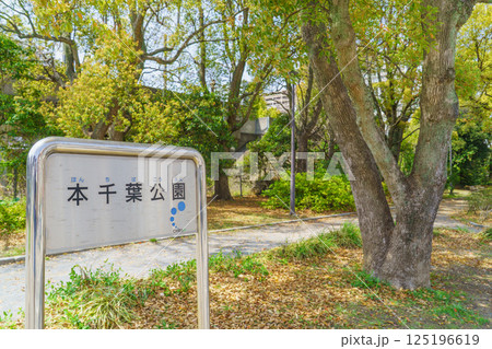 【千葉県千葉市】本千葉公園 125196619