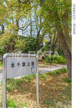 【千葉県千葉市】本千葉公園 【千葉県千葉市】本千葉公園 125196620