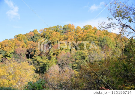 色づく　秋の里山 125196714
