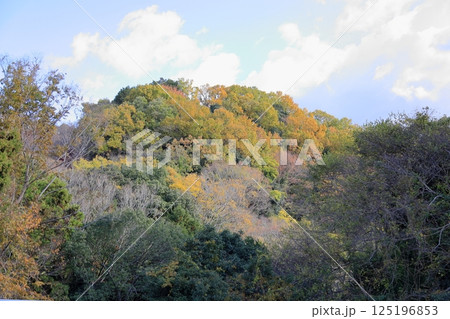 色づく　秋の里山 125196853
