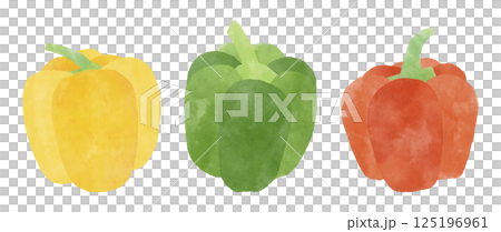 水彩風のカラフルなパプリカのセット 水彩風のカラフルなパプリカのセット 125196961