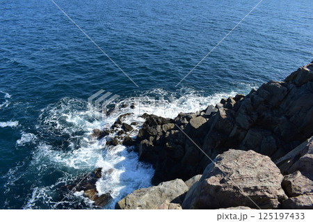 福井 東尋坊 火曜サスペンス 崖 福井 東尋坊 火曜サスペンス 崖 125197433