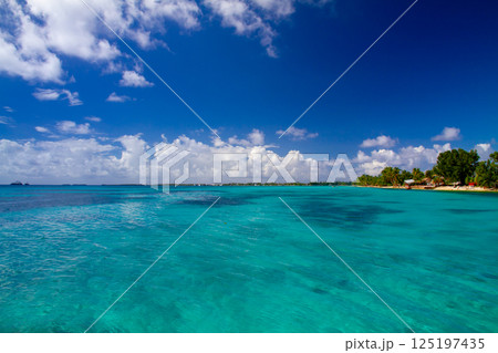 オセアニア・ポリネシアの島国ツバル 首都のフナフティ環礁フォンガファレ島の青が鮮やかなラグーン オセアニア・ポリネシアの島国ツバル 首都のフナフティ環礁フォンガファレ島の青が鮮やかなラグーン 125197435