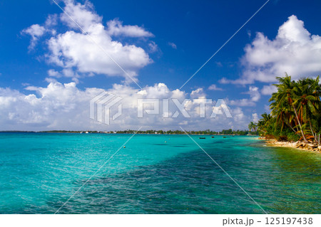 オセアニア・ポリネシアの島国ツバル 首都のフナフティ環礁フォンガファレ島の青が鮮やかなラグーン オセアニア・ポリネシアの島国ツバル 首都のフナフティ環礁フォンガファレ島の青が鮮やかなラグーン 125197438