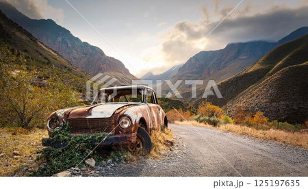 道端に捨てられて朽ち果てた自動車 道端に捨てられて朽ち果てた自動車 125197635