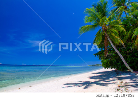 オセアニア・ポリネシアの島国ツバル 首都のフナフティ環礁フォンガファレ島のラグーンとビーチとヤシの木 オセアニア・ポリネシアの島国ツバル 首都のフナフティ環礁フォンガファレ島のラグーンとビーチとヤシの木 125197858