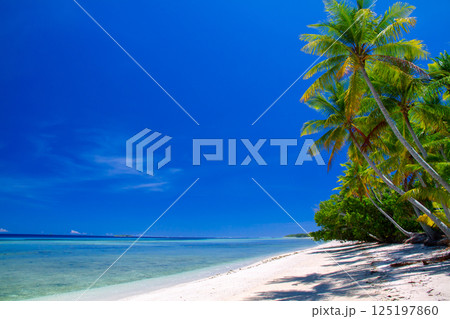 オセアニア・ポリネシアの島国ツバル　首都のフナフティ環礁フォンガファレ島のラグーンとビーチとヤシの木 125197860