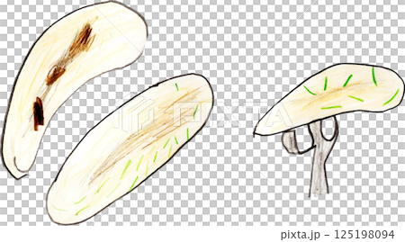 子供が描いたウインナーソーセージ 子供が描いたウインナーソーセージ 125198094