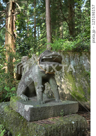 中山道坂本宿散歩:坂本八幡宮 群馬県安中市 中山道坂本宿散歩:坂本八幡宮 群馬県安中市 125198157