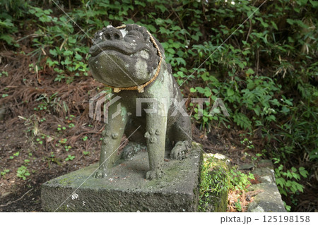 中山道坂本宿散歩：坂本八幡宮　群馬県安中市　 125198158