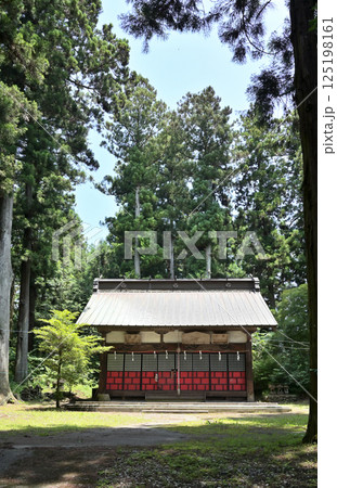 中山道坂本宿散歩:坂本八幡宮 群馬県安中市 中山道坂本宿散歩:坂本八幡宮 群馬県安中市 125198161