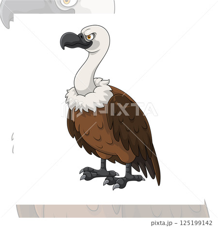 Cartoon vulture bird on white background Cartoon vulture bird on white background 125199142