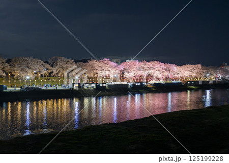 ライトアップされた白石川堤一目千本桜　宮城県大河原町 125199228